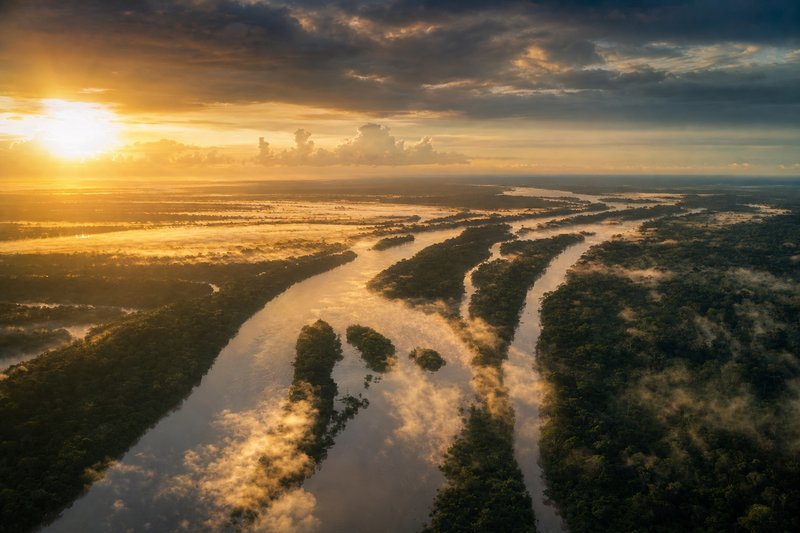 Vista aérea del río Amazonas, el más caudaloso del mundo